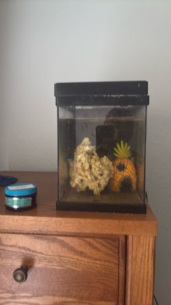 Small Glass Fish Tank with Decorations