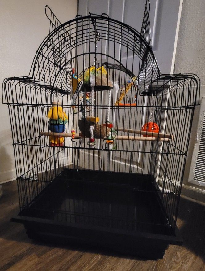 All Living Things Open Air Bird Cage, Toys, Bird Food