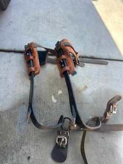 Tree climbing spikes