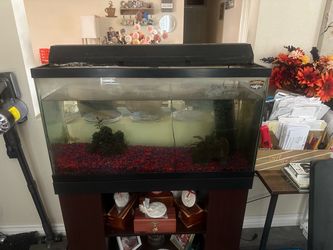 Fish tank