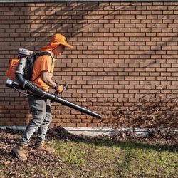 Leaf 🍃 Clean Up 
