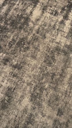 Area Rugs (3x)