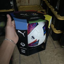 Puma Official Match ball 23/24 season