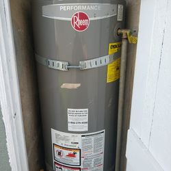 CALENTON DE AGUA DE GAS NATURAL 