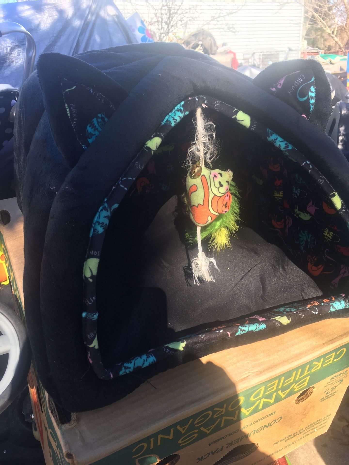 Nice Small pet igloo only $15 firm