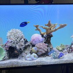 40inch PHILIPS ROKU TV 
