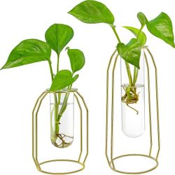 🌱Plant Terrariums with 2 Test Tube in Metal Frame Propagating Hydroponic Planters