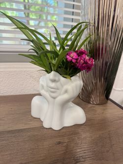 Human face planter with drainage. Comes with a well rooted spider plant and kalanchoe succulent