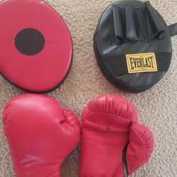 Everlast Boxing Gloves