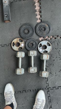 2 15lbs dumbbells and 2 5lb Olympic weight plates and 3 2.5 Olympic weight plates