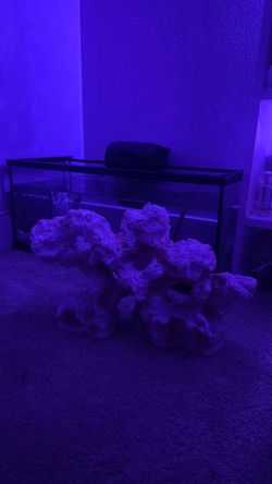 white with pinkish fits in a 20 gallon tank only