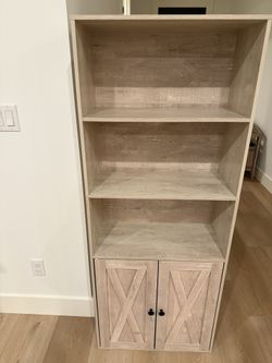 Bookshelves With Doors (2 Count ) 
