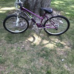 26” Mountain Bike 