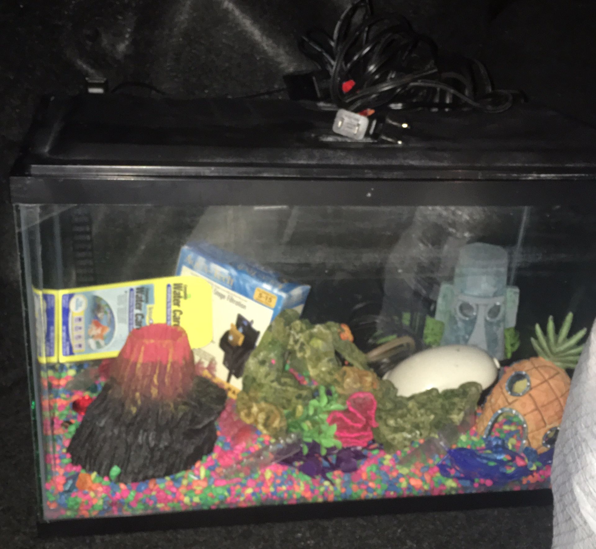 Small fish tank with all accessories $60 obo