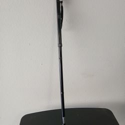 Cane