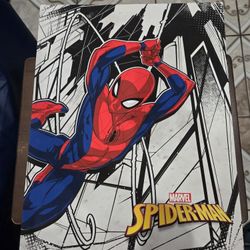 Spider-Man Canvas