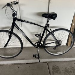 Giant Cypress Large Black Like New