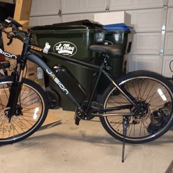 Jasion EB5 Electric Bike 