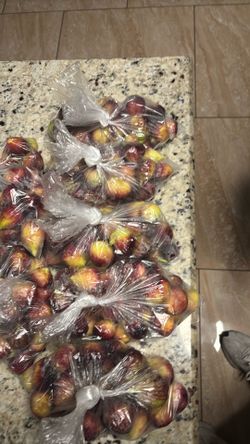 FIGS-HIGOS