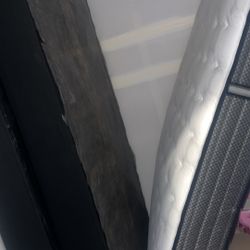 Twin Mattress With Box Spring