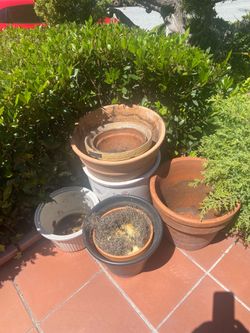 Free large garden pots