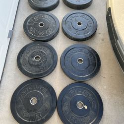 230lb rogue hg Olympic bumper plate set weights