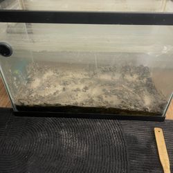 First Tank 20 Gallons 