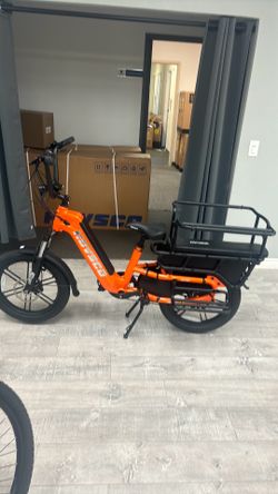 Brand new in box family ebike for 1000 torque sensor Carrior ebike