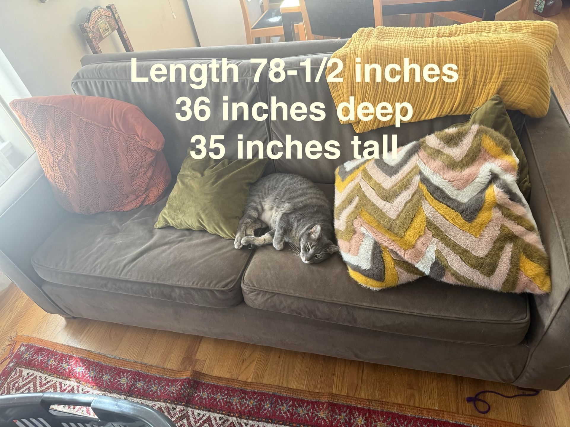 West Elm Henry Sleeper Sofa