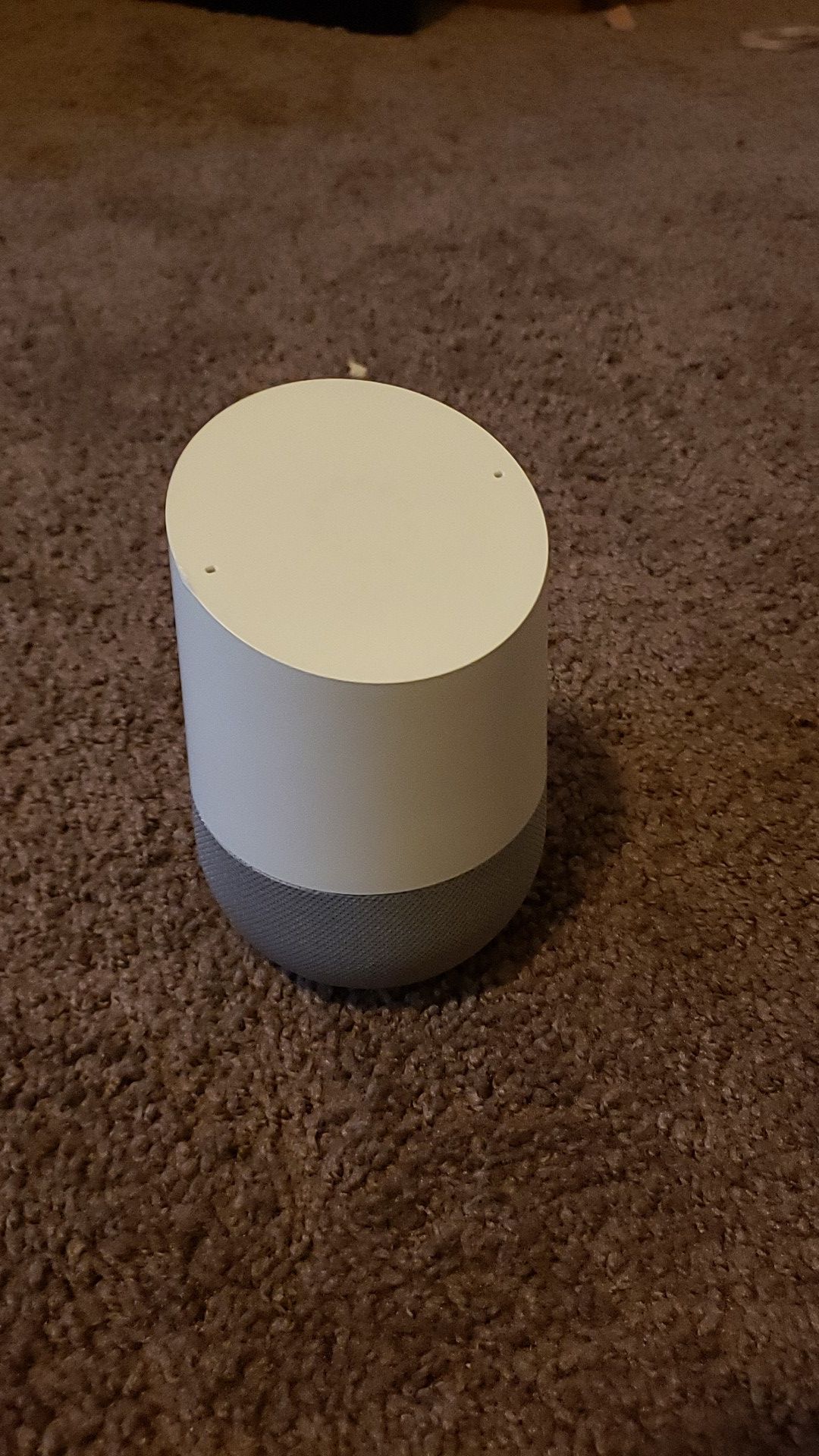 Google home