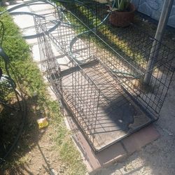 Dog Kennel