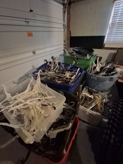 Plastic Hangers