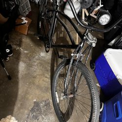 Beach Cruiser