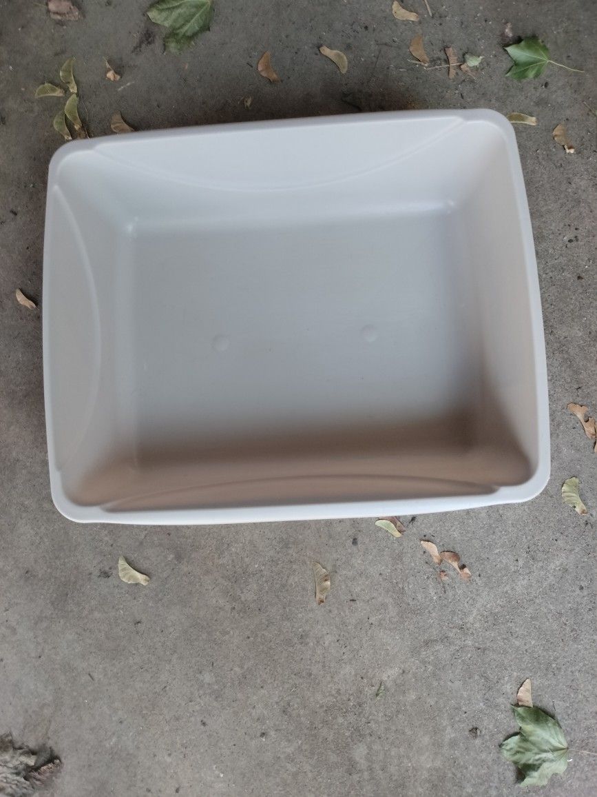 Cat Box