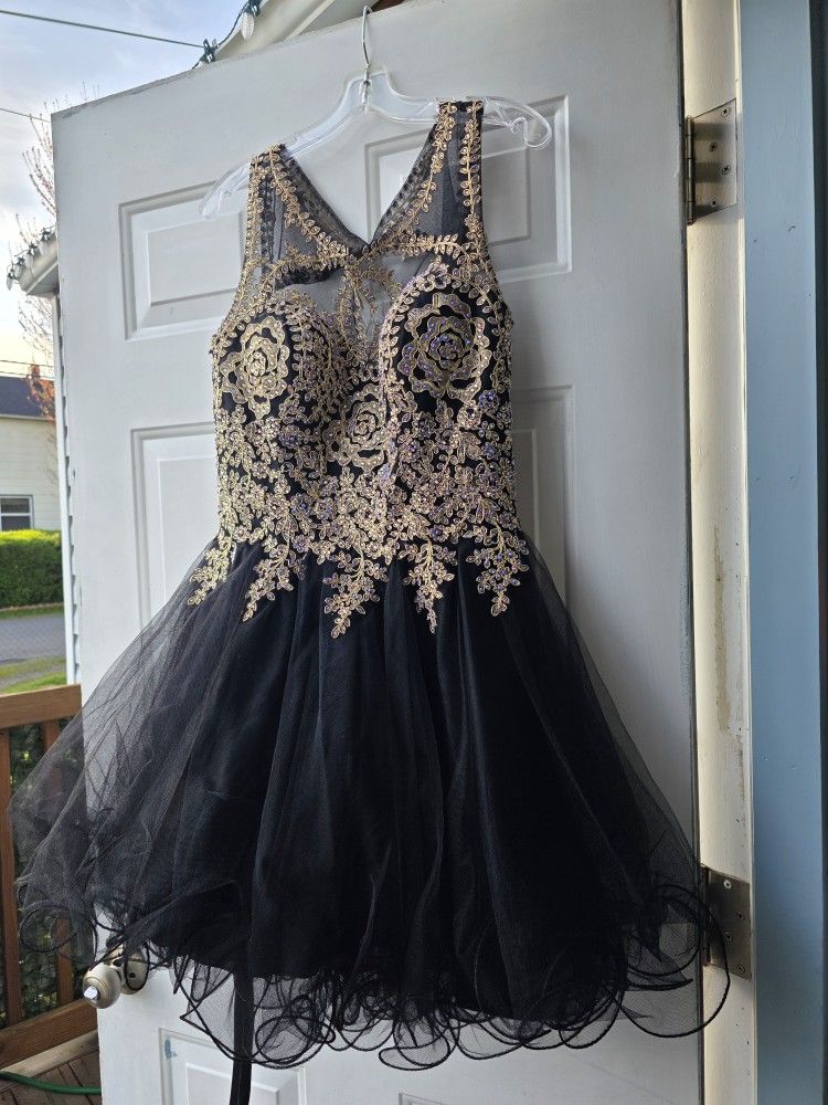 Prom/Party Dress š