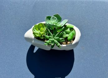 White Ceramic Elephant Succulent Planter