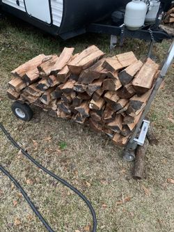 Seasoned Firewood Bundles 