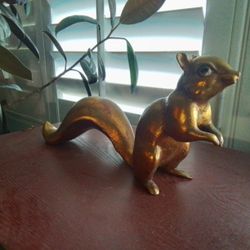 Freeman Mcfarlin  Squirrel  