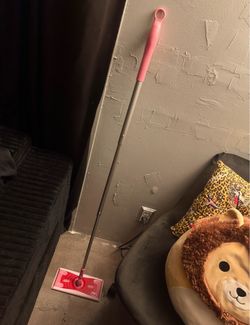 Pink Flat Mop with Long Handle