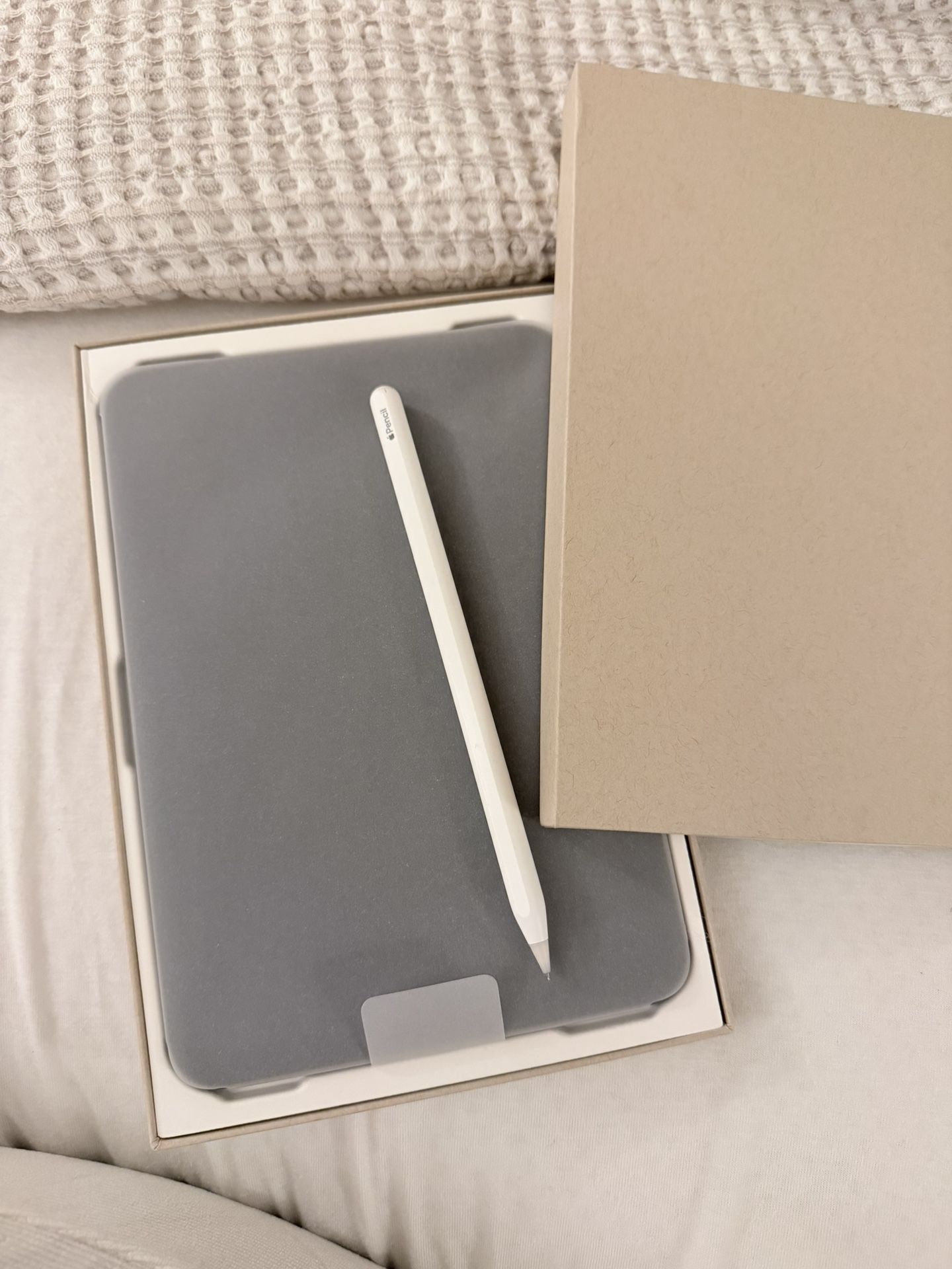 iPad Mini +Apple Pen