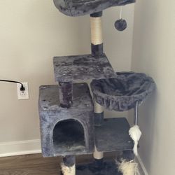 “Helping My Cat Downside “