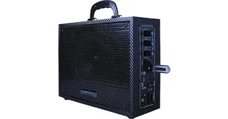 Technical Pro Wasp 300 Portable PA System