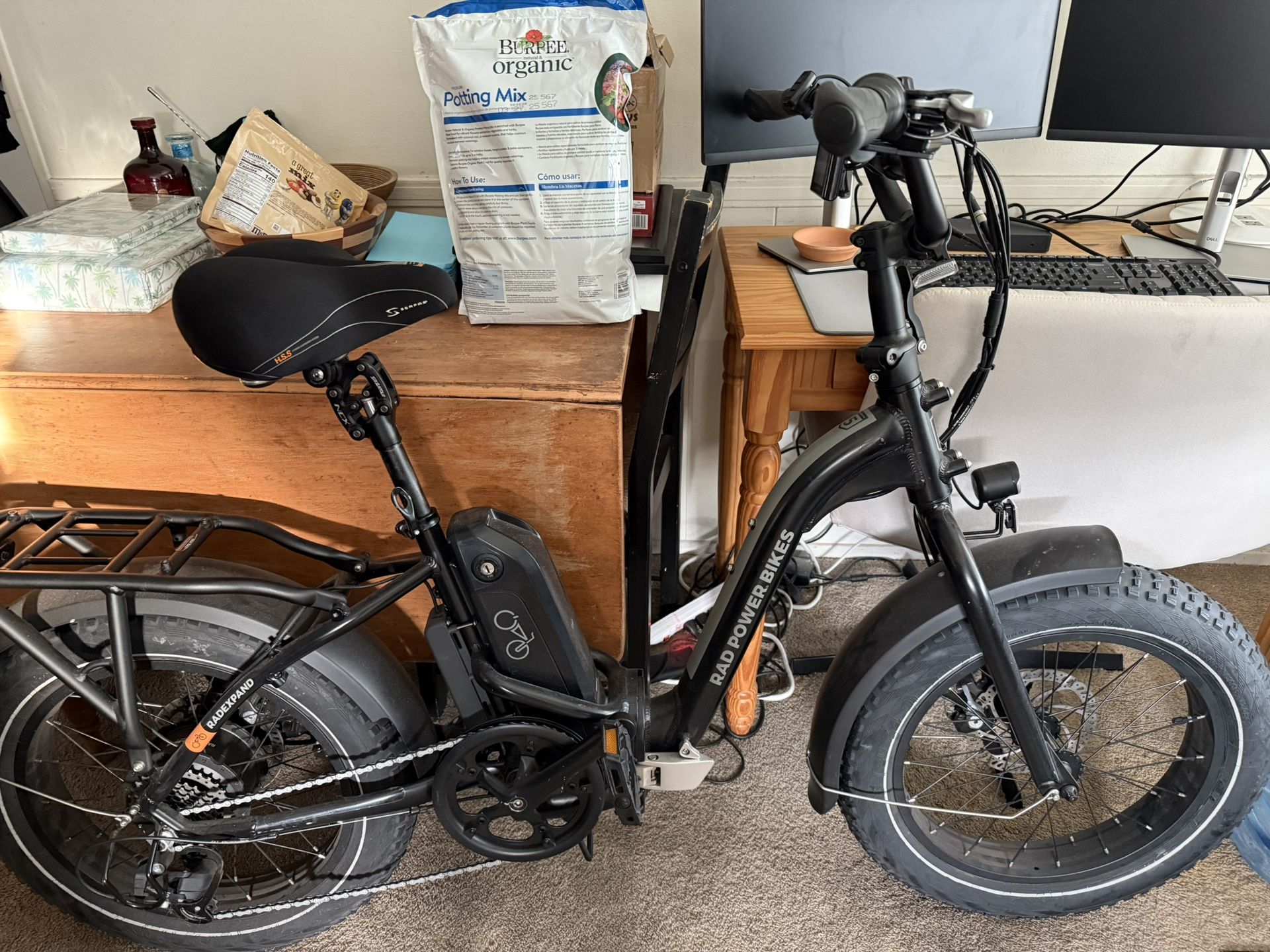 RAD Expand 5 Electric Bike