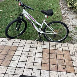 Great  dex-bike with  purple white and black