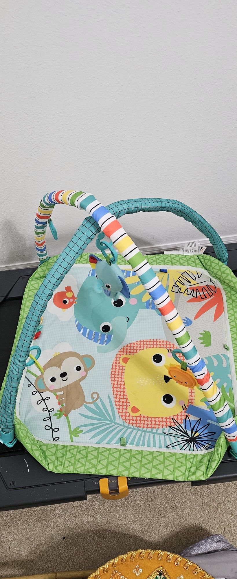 Baby Play Mat (Free)