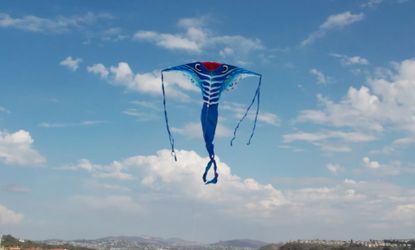 Manta Ray Kite- Supersized