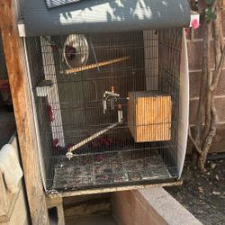 Bird Cages