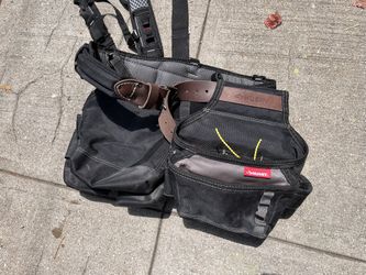 Husky Took Belt