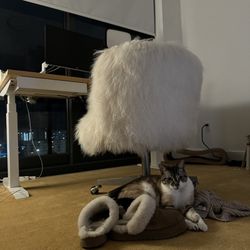West elm Branch Standing Desk 60 X 30