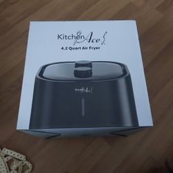 4.2 Air Fryer